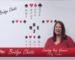 Counting Your Winners-Bridge Chats